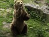 Standing-Bear
