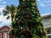 christmas-on-manly