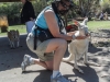 feeding-a-white-kangaroo