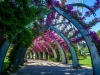 flowered-archway1