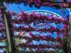 flowered-archwaytop-only