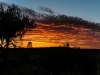 outback-sunset