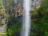 preston-falls-bushwalk-tasmania