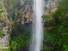 preston-falls-bushwalk-tasmania