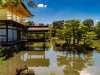 Can-you-see-the-Heron-by-the-Golden-Temple-copy