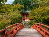 Daigo-Bridge-copy