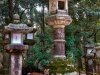 Deer-plus-Lanterns-copy