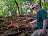 ack-feeding-deer-copy