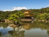 Golden Temple &Tree w