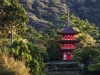 Pagoda in the Mountain