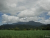 View from the Top-2.jpg