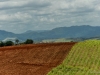 View from the Top-6.jpg