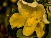 _DKF0363-Edit.jpg