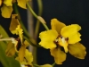_DKF0402.jpg