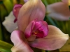 _DKF0475.jpg