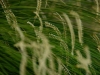 _DKF0486.jpg