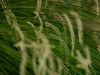 _DKF0486.jpg