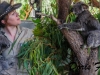 2-koalas-plus