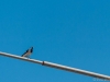 _DF11838.jpg