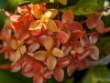 _DF12388.jpg