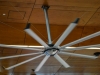 _DF12452.jpg