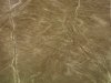 Monkey-Nasca-Lines